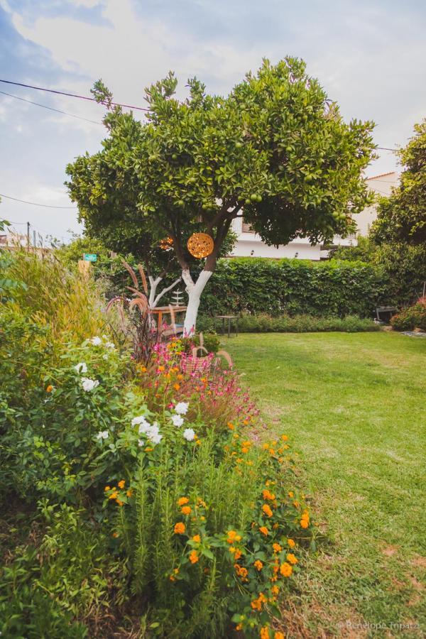 Zacharoulas Katikies Amarynthos Exterior foto